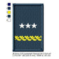 US Army  O-9 Lieutenant General Mess Uniform Insignia Symbols Emblems Patches Machine Embroidery Digitized Design Files