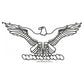 United States Air Force USAF Eagle Insignia Machine Embroidery Digitized Design Files