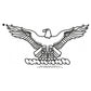 United States Air Force USAF Eagle Insignia Machine Embroidery Digitized Design Files