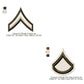 US Army E-2 Private E-3 Private 1st First Class Military  Insignia Symbols Emblems Patches Machine Embroidery Digitized Design Files