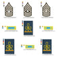 US Army Military Officer Shoulder Board Mess Uniform Insignia Symbols Emblems Patches Machine Embroidery Digitized Design Files