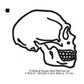 Human Skull Medical Line Art Machine Embroidery Digitized Design Files