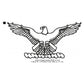 United States Air Force USAF Eagle Insignia Machine Embroidery Digitized Design Files