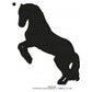 Horse Silhouette Machine Embroidery Digitized Design Files